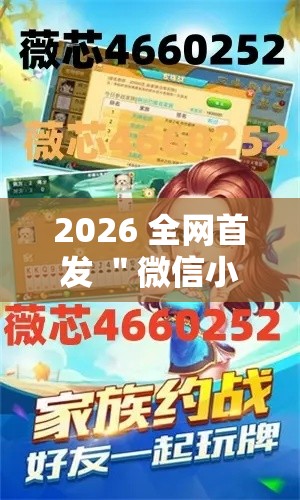 2026 全网首发 ＂微信小程序家乡大贰开挂器”详细辅助教程分享