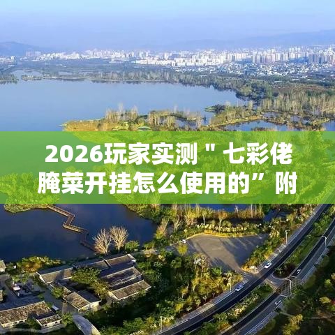 2026玩家实测＂七彩佬腌菜开挂怎么使用的”附开挂脚本详细教程