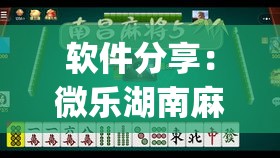 软件分享：微乐湖南麻将有挂”(透视)辅助透视教程