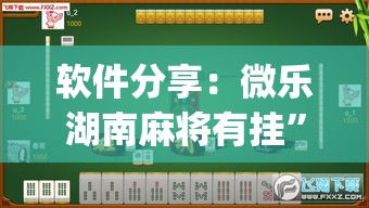 软件分享：微乐湖南麻将有挂”(透视)辅助透视教程
