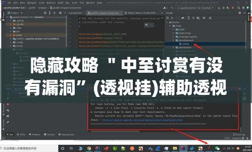 隐藏攻略 ＂中至讨赏有没有漏洞”(透视挂)辅助透视教程