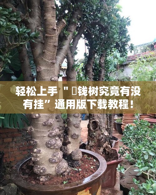 轻松上手 ＂揺钱树究竟有没有挂	”通用版下载教程！