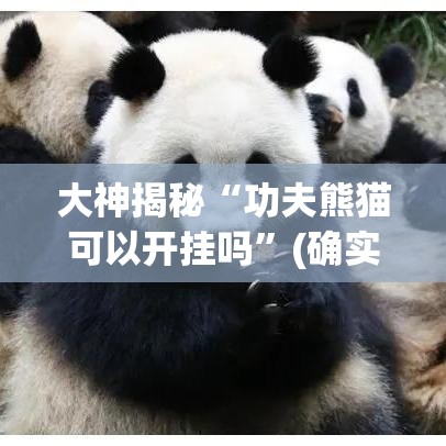 大神揭秘“功夫熊猫可以开挂吗”(确实是有挂)知乎