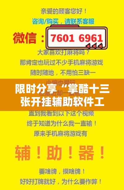 限时分享“掌酷十三张开挂辅助软件工具	”附透视挂详细教程
