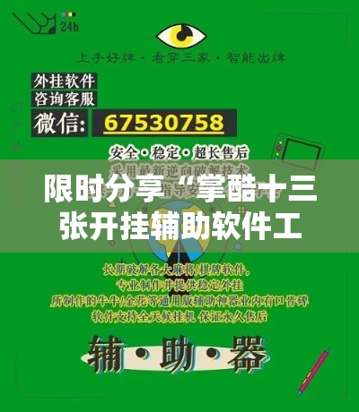 限时分享“掌酷十三张开挂辅助软件工具”附透视挂详细教程