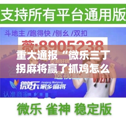 重大通报“微乐三丁拐麻将赢了抓鸡怎么算的	”作弊挂(辅助外挂+教程)