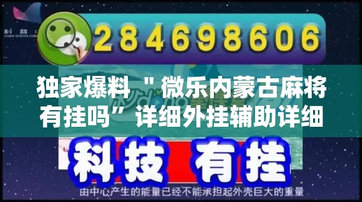 独家爆料 ＂微乐内蒙古麻将有挂吗”详细外挂辅助详细教程