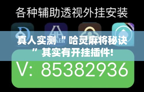真人实测 ＂哈灵麻将秘诀”其实有开挂插件!
