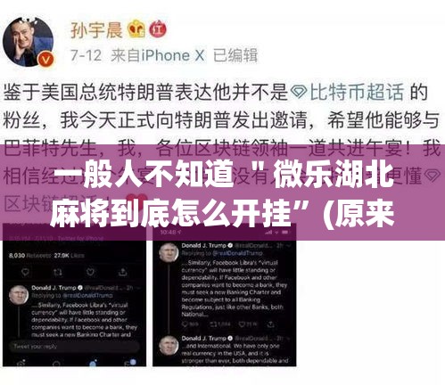 一般人不知道 ＂微乐湖北麻将到底怎么开挂”(原来确实是有插件)