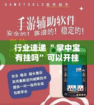 行业速递 ＂掌中宝有挂吗	”可以开挂作弊