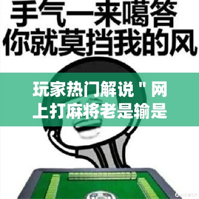玩家热门解说＂网上打麻将老是输是什么原因”(原来确实是有插件)