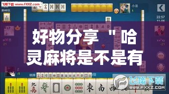 好物分享 ＂哈灵麻将是不是有挂”详细辅助教程分享
