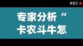 专家分析“卡农斗牛怎么抓到好牌最简单方法”(详细透视教程)