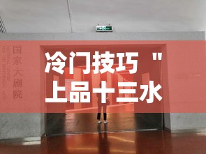 冷门技巧 ＂上品十三水怎么开挂”附透视挂详细教程
