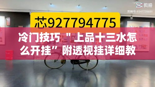 冷门技巧 ＂上品十三水怎么开挂	”附透视挂详细教程