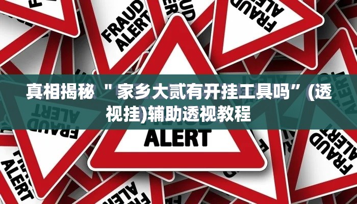 真相揭秘 ＂家乡大贰有开挂工具吗”(透视挂)辅助透视教程