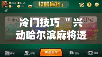 冷门技巧 ＂兴动哈尔滨麻将透宝挂”辅助挂下载