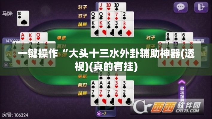 一键操作“大头十三水外卦辅助神器(透视)(真的有挂)