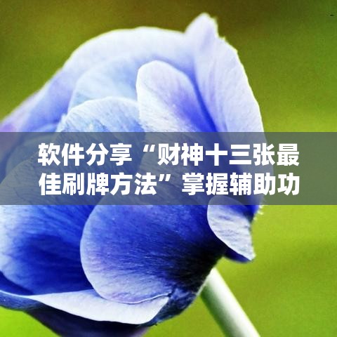 软件分享“财神十三张最佳刷牌方法	”掌握辅助功能必胜规则