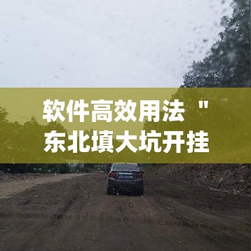 软件高效用法 ＂东北填大坑开挂是不是真的”(原来确实是有挂)