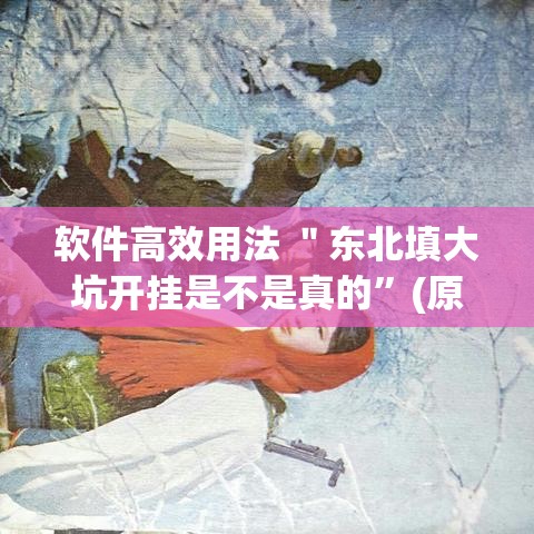 软件高效用法 ＂东北填大坑开挂是不是真的”(原来确实是有挂)