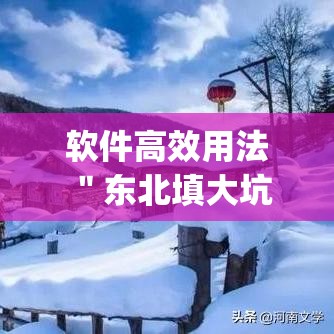 软件高效用法 ＂东北填大坑开挂是不是真的”(原来确实是有挂)