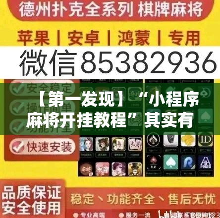 【第一发现】“小程序麻将开挂教程”其实有开挂插件!
