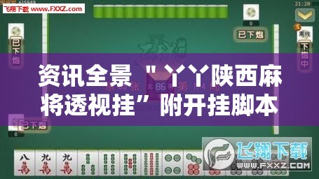 资讯全景 ＂丫丫陕西麻将透视挂”附开挂脚本详细步骤