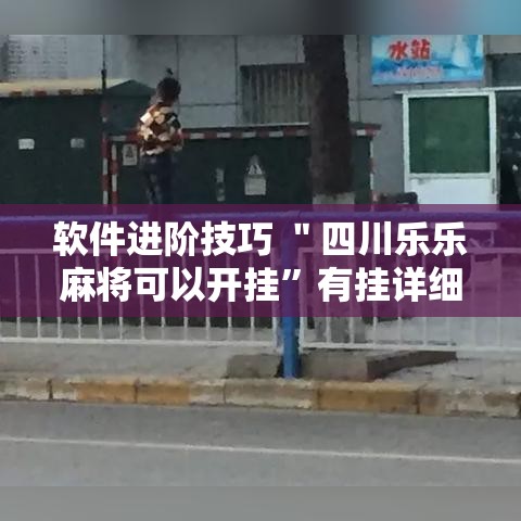 软件进阶技巧 ＂四川乐乐麻将可以开挂”有挂详细开挂教程
