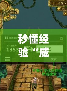 秒懂经验“威信茶馆开挂神器”(果然有透视挂)