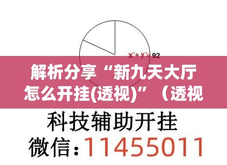 解析分享“新九天大厅怎么开挂(透视)”（透视挂）辅助神器教程