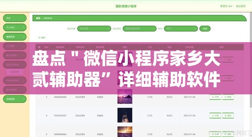 盘点＂微信小程序家乡大贰辅助器”详细辅助软件教程