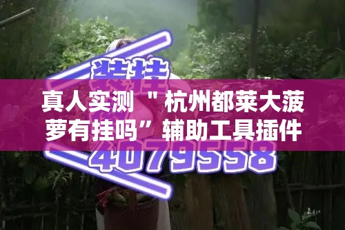 真人实测 ＂杭州都莱大菠萝有挂吗”辅助工具插件,揭秘技巧开挂