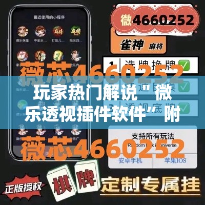 玩家热门解说＂微乐透视插件软件”附开挂脚本详细教程