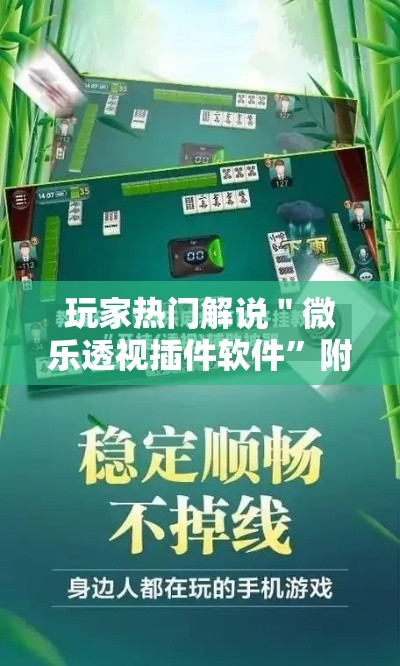 玩家热门解说＂微乐透视插件软件”附开挂脚本详细教程