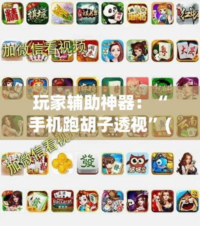 玩家辅助神器：“手机跑胡子透视”(最新透视辅助上线)