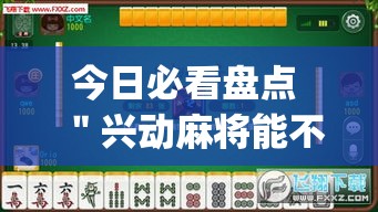 今日必看盘点 ＂兴动麻将能不能有挂”(透视曝光猫腻)