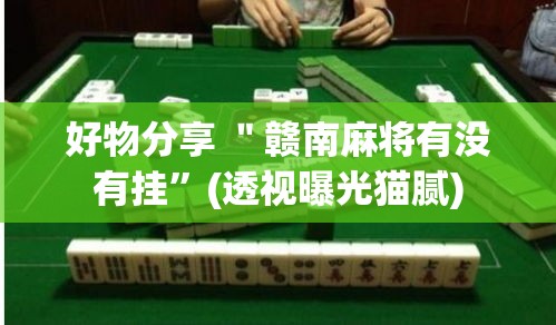 好物分享 ＂赣南麻将有没有挂”(透视曝光猫腻)