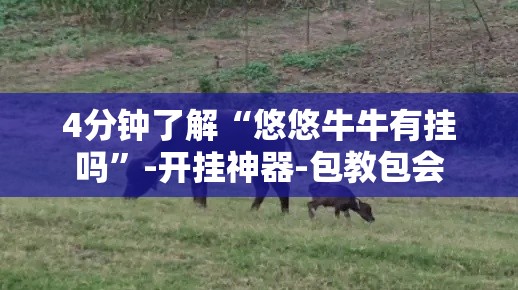 4分钟了解“悠悠牛牛有挂吗	”-开挂神器-包教包会