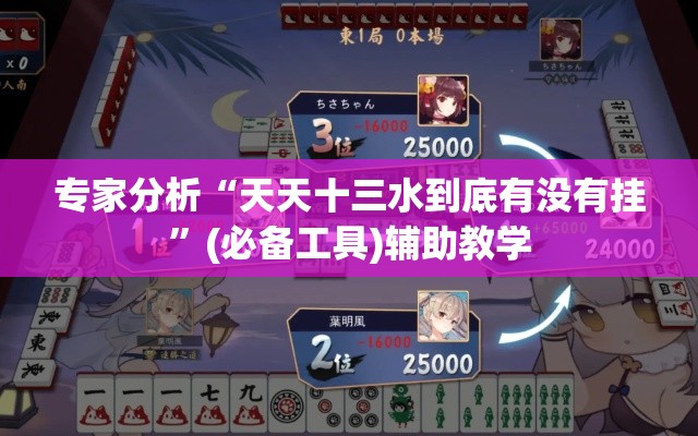 专家分析“天天十三水到底有没有挂”(必备工具)辅助教学
