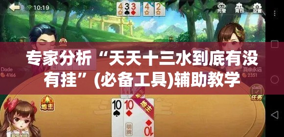 专家分析“天天十三水到底有没有挂”(必备工具)辅助教学