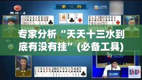 专家分析“天天十三水到底有没有挂	”(必备工具)辅助教学