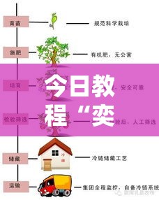 今日教程“奕胜是什么意思”附透视挂详细教程