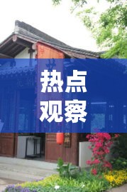 热点观察 ＂滇南茶馆其实是可以开挂”实测确实有挂