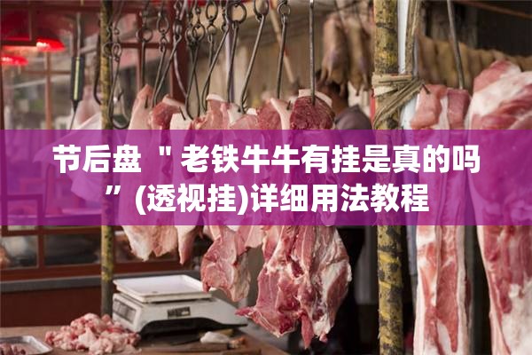 节后盘 ＂老铁牛牛有挂是真的吗”(透视挂)详细用法教程