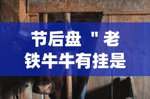 节后盘 ＂老铁牛牛有挂是真的吗	”(透视挂)详细用法教程