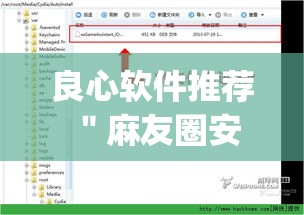 良心软件推荐 ＂麻友圈安全版开挂教程”(必备工具)辅助教学