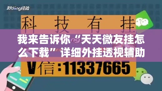 我来告诉你“天天微友挂怎么下载”详细外挂透视辅助软件教程