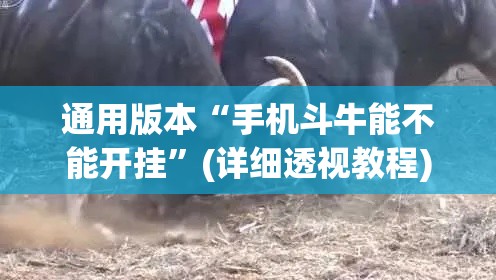 通用版本“手机斗牛能不能开挂”(详细透视教程)-知乎