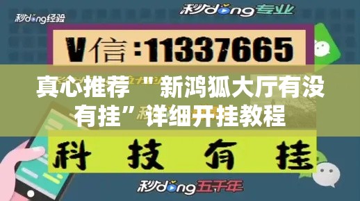 真心推荐 ＂新鸿狐大厅有没有挂	”详细开挂教程